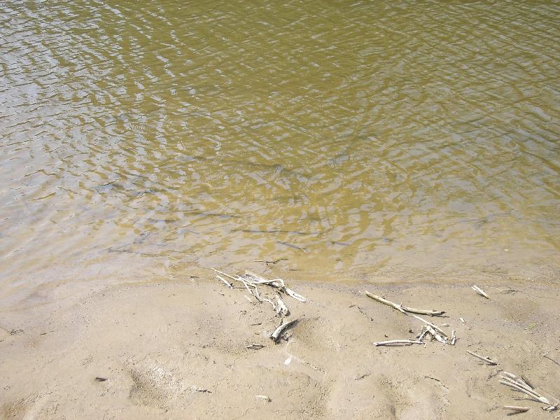 Foto: �eka Morava